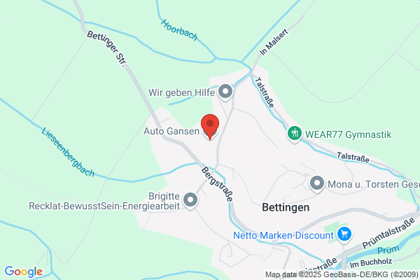 Gansen