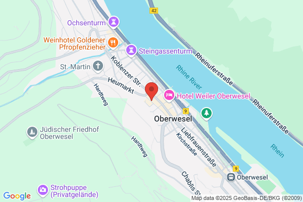 COMPUTER SERVICE Mittelrhein
