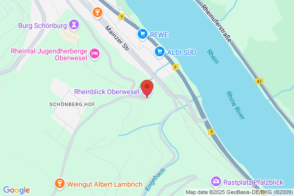 Rheinblick