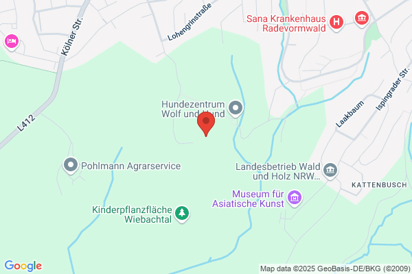 Theo Ortmann, Irene