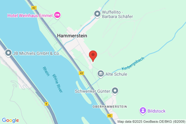 Walter Hammerstein