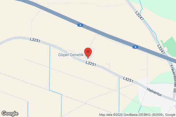 Goepel