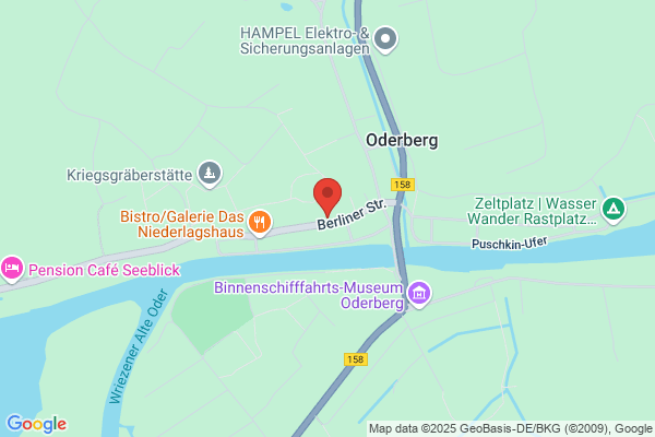 Schwarzer Adler