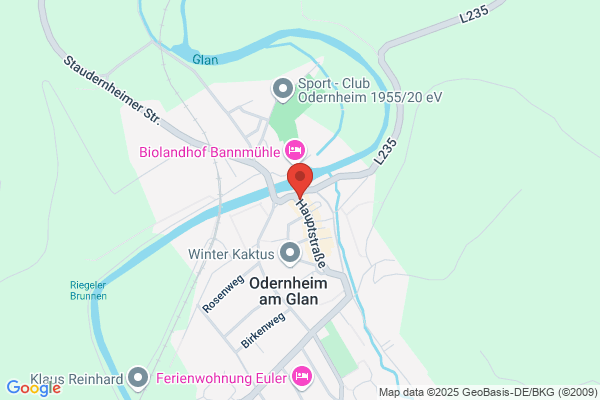 Güldener Löwe
