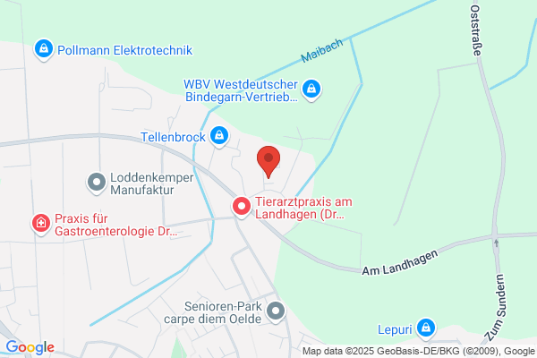 Febromed GmbH & Co. KG