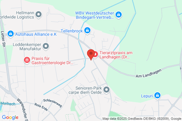 Festge GmbH
