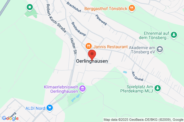 SteinProfi