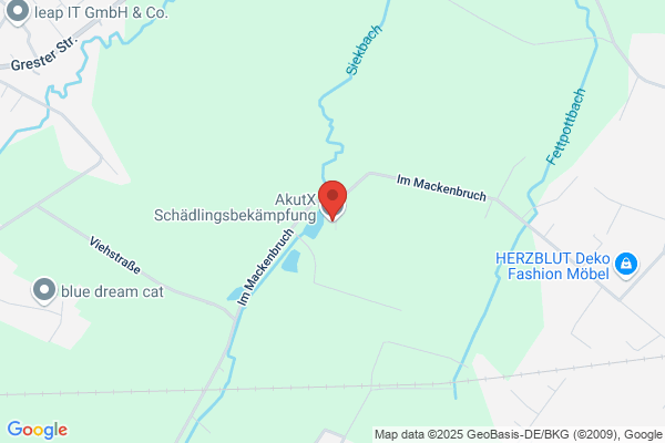 Anlauf