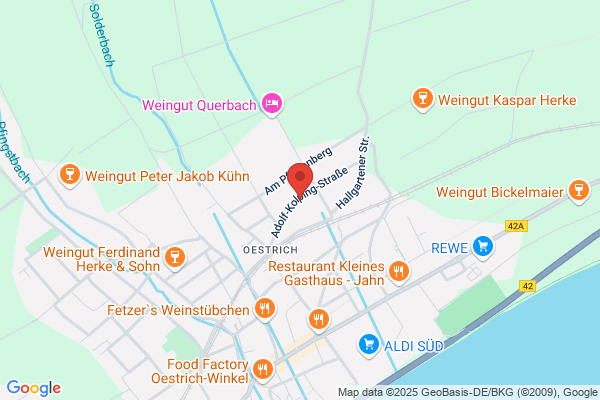 Worldlink Education, Germany representative office