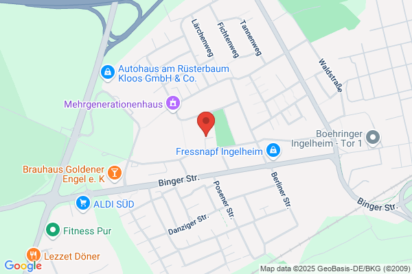 Integrierte Gesamtschule