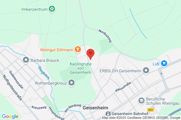 Mentor-Beratungsges. für die Wirtschaft GmbH