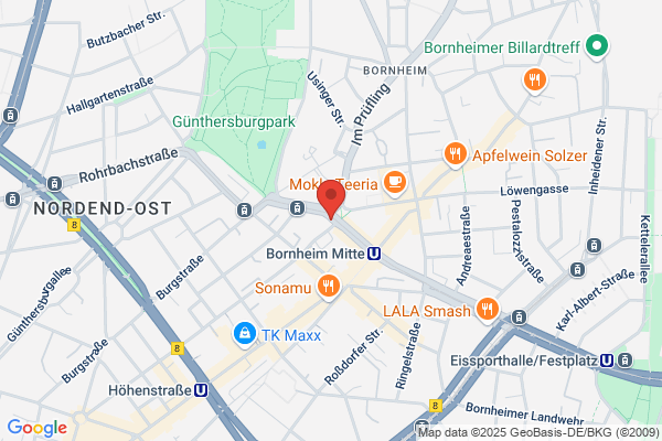 Allianz Internationaler Detektive