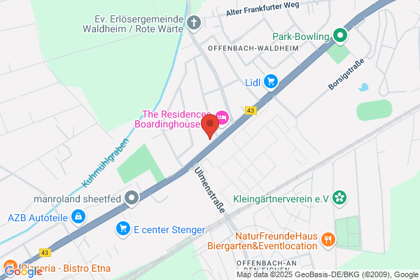 Kitzinger Blumen und Pflanzen