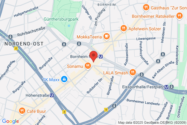 Optik Friedauer GmbH