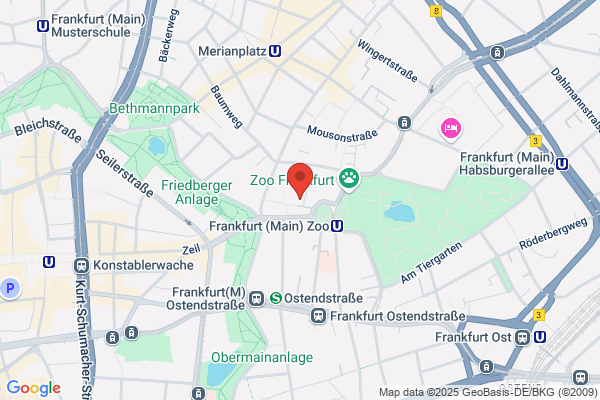 MoveMent  Physiotherapie