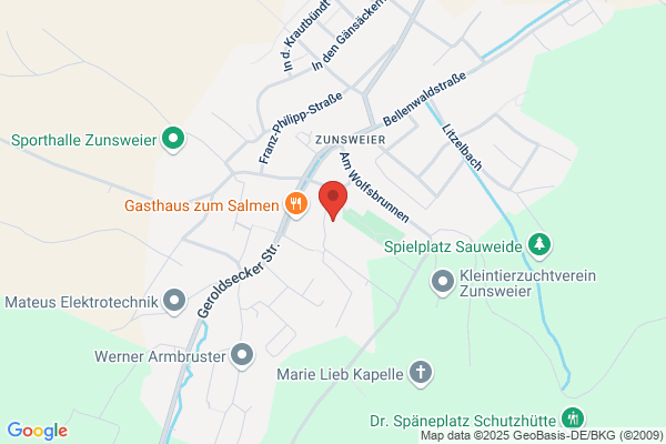 Pflegedienst Schwarzwaldpflege Offenburg GmbH