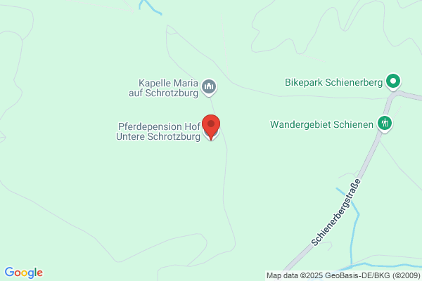 Pferdephysiotherapie Bodensee