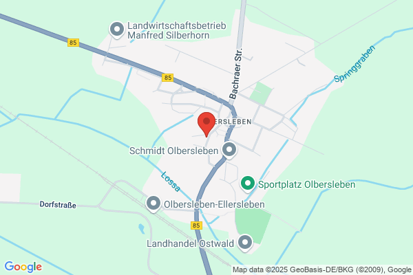 MS-Projektmanagement