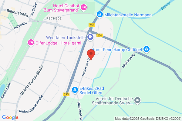 Physiotherapie & Gesundheit Nemah A