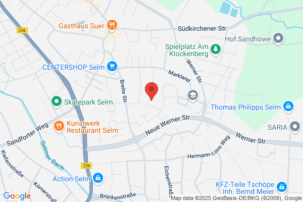 Ballspielverein 1919 Selm