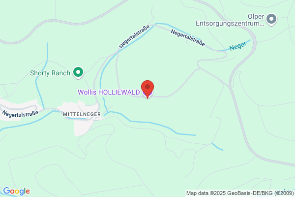 Holliewald