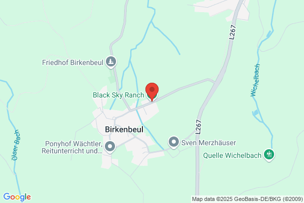 Black Sky Ranch