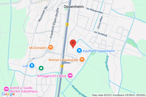 Action Oppenheim