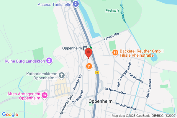 Rheinhessen-Fachklinik Tagesstätte für psychisch kranke Menschen