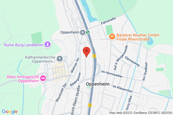 Friedrich Baumann