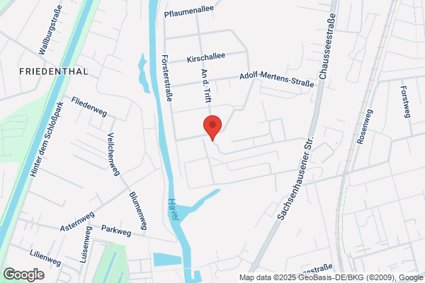 Holzhandel Topholz24