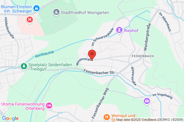 Manager Network GmbH
