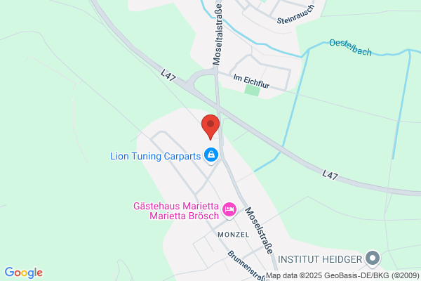 Matheus Service GmbH