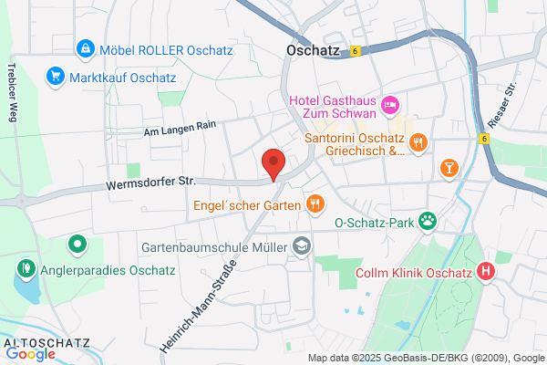 Oschatzer Dental Service Inh. Rainer Peterschun