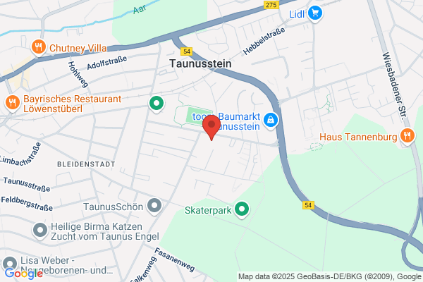 Pass Bedachungs GmbH