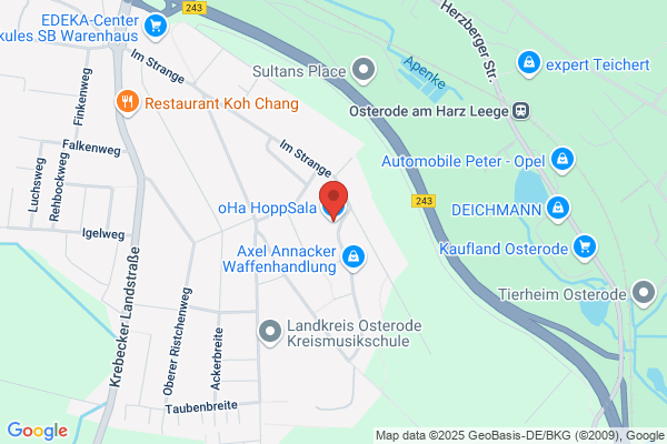 oHa HoppSala Hüpfburg- und Transportervermietung