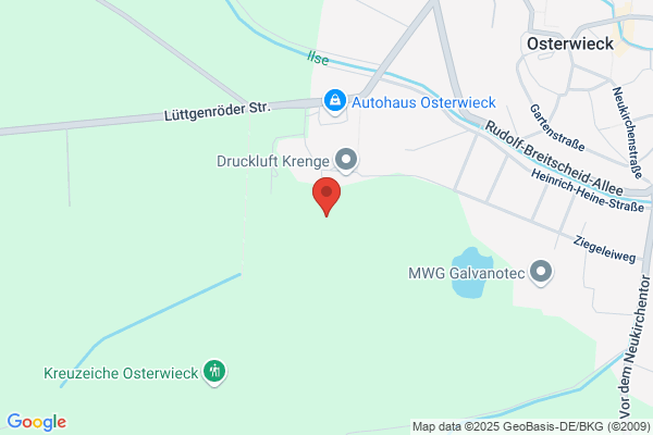 Borek media GmbH