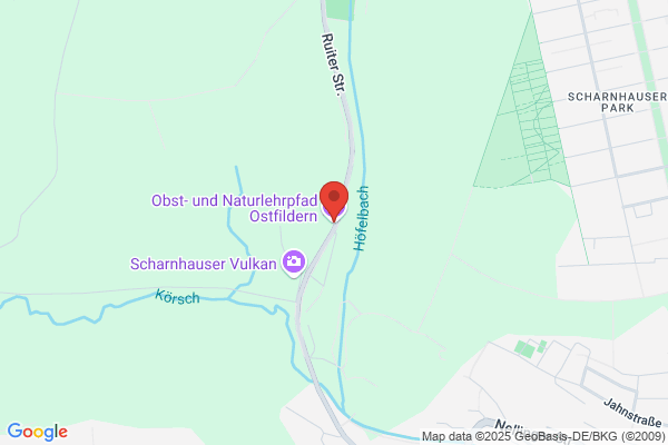 Regina Rothfuß