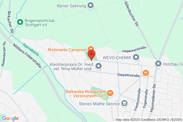 Hamma Siebdruck-Tampondruck