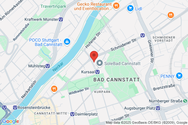 Diener GmbH