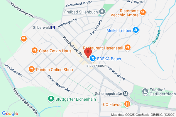 Langenscheid Dr. Vaih & Co. Wirtschaftsprüfungs- & Steuerberatungsgesellschaft - Stuttgart