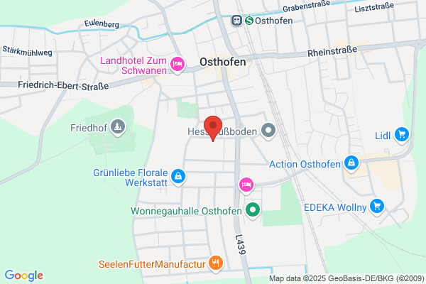 MTS - GmbH Elektrotechnik - Elektriker Osthofen