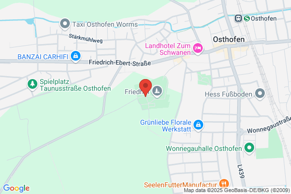 Friedhof