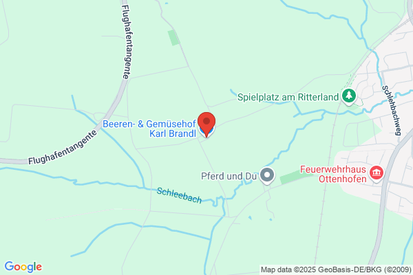 Brandmüller
