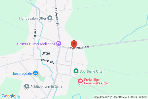 Die BüFeen