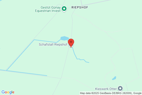 Riepshof GmbH & Co KG