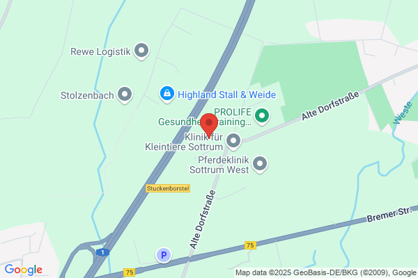 Nutzfahrzeuge 2000 GmbH