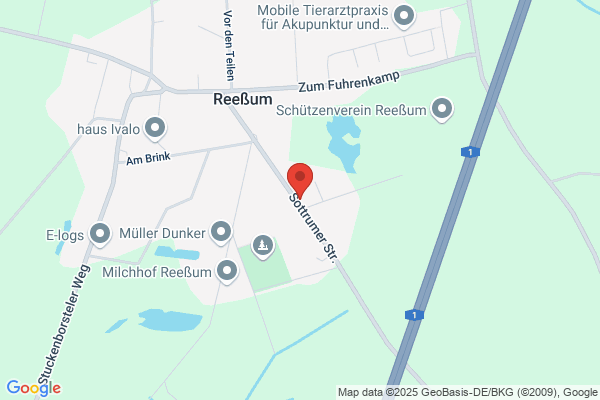 Kinder und Jugendhilfe Reeßum GmbH