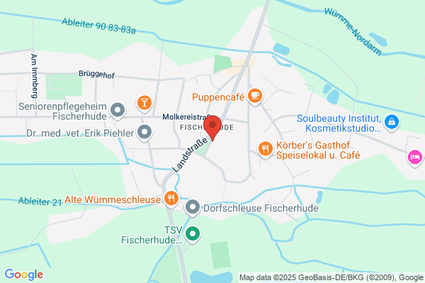 Buch Brigitte Physiotherapie und Krankengymnastik