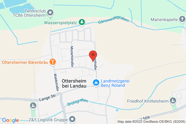 Lindengrün
