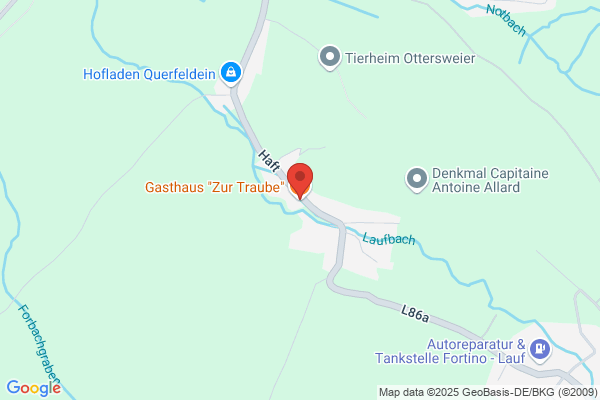 Laube